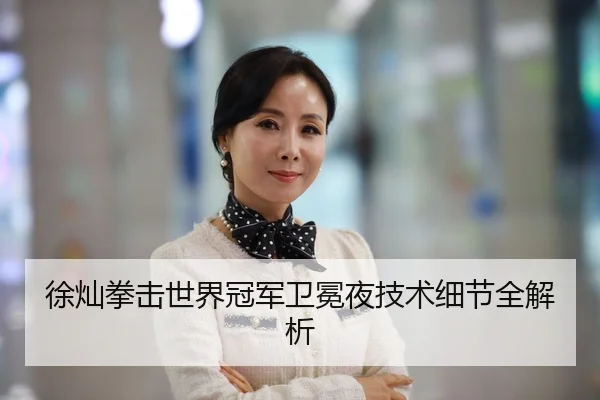 徐灿拳击世界冠军卫冕夜技术细节全解析